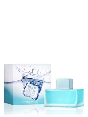 Fraganza Perfumeria y Belleza