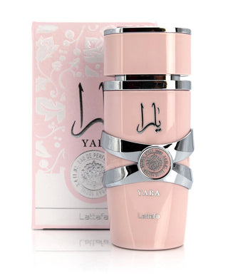 Fraganza Perfumeria y Belleza